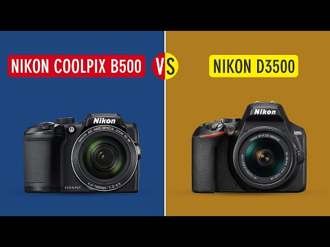 Nikon Coolpix B500 vs Nikon D3500 Comparison & Review (Nikon B500 vs Nikon D3500) | Sonika Agarwal