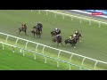 Group 1 winner LIGHTS UP training track | Caulfield Heath Jump Out 9
