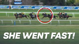 Group 1 winner LIGHTS UP training track | Caulfield Heath Jump Out 9