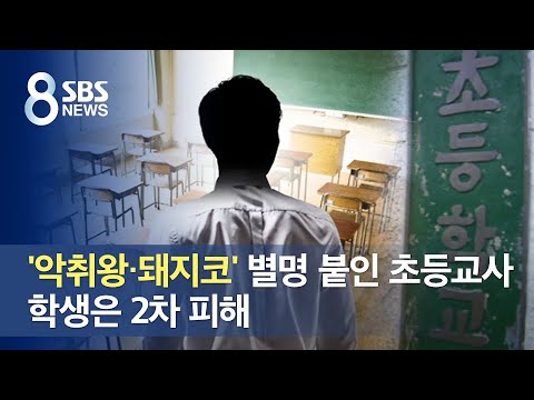 '악취왕 · 돼지코' 별명 붙인 초등교사…학생은 2차 피해 / SBS