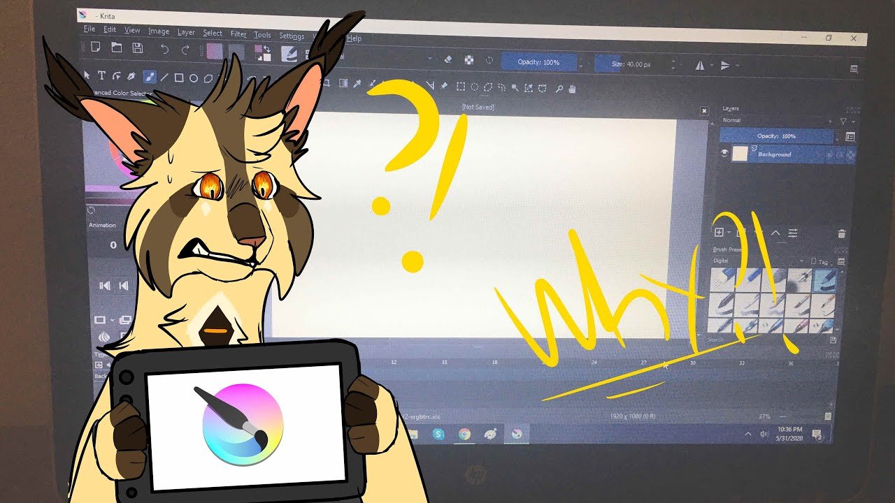 Why I can't animate on my laptop- - YouTube