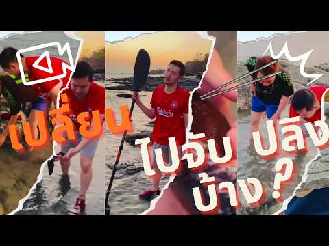 กระเพาะปลาเรียกกิมจี๊ ปลิงทะเล จะเรียกอะไร ?