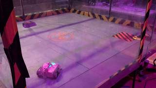 2019 FRA Beetleweight Championships - Hello There! vs Puns 'n' Roses vs Splodeyboi (podcast rumble)