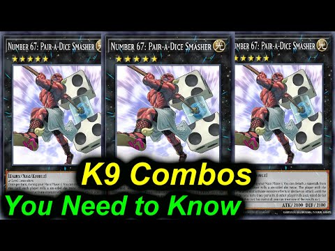 K9 COMBOS YOU NEED TO KNOW | POST JUSTICE HUNTERS | Yu-Gi-Oh!