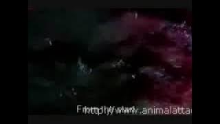 Movie Stills From Krai Thong 2 (2005)
