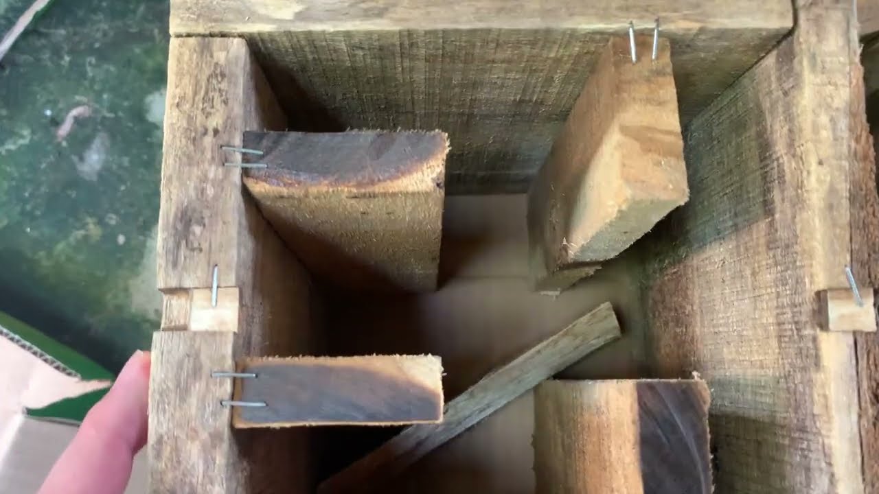 Cách làm hòm gỗ cho ong chúa ngủ đông quá đơn giản mà ai cũng có thể làm được | Quang Ong Nhộng