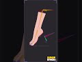 Master Foot Rigging in Moho PRO 14.3 🎨 | Quick Tutorial for Smooth 2D Animation