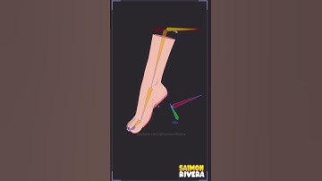 Voetmontage MOHO PRO 14.3 #shorts #animatie #viralevideo #2danimation #animacion2d