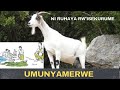 UMUNYAMERWE ARAVUGISHWA ABONYE IGARAMYE Ni Ruhaya Rw Isekurume Rwanda Isanoidasaza UMUNYAMERWE ARAVUGISHWA ABONYE IGARAMYE Ni Ruhaya Rw Isekurume Rwanda Isanoidasaza