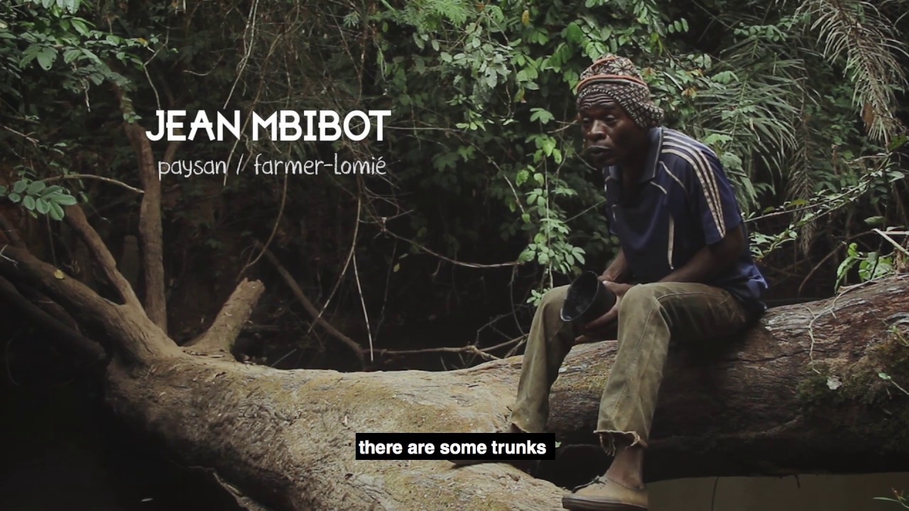 A l’échelle du Raphia (VF sous titrée en anglais)