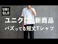 【UNIQLO】絶対に買うべき？短丈Tシャツ【ユニクロ 26SS 】