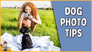 Capturing Your Dog's True Personality: Pro Photographer's Top Preparation Tips by Our Pets Health 87 views 1 month ago 2 minutes, 42 seconds