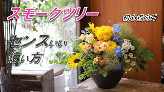 ✫姫空木☆彡 No.293とカトレアアレンジメント Smoke Tree] 3 tips for stylish arrangements - YouTube