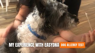 EasyDNA Dog Allergy Test Review 2024: Our Dog&#39;s Experience (+Results)