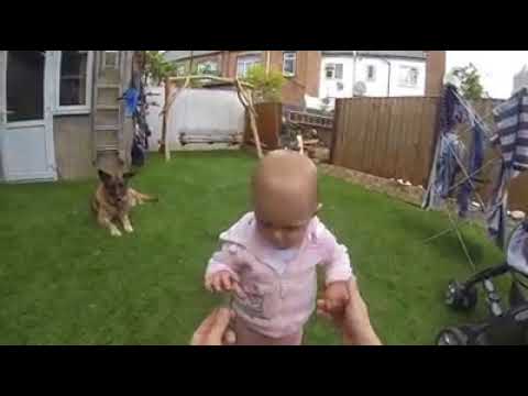 rumble video upload Baby Feeding German Shepards