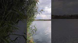Краски осени 🍁. Водохранилище