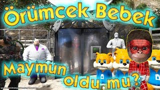 Örümcek Bebek Maymun mu Oldu Sincap Hain mi Masum mu?