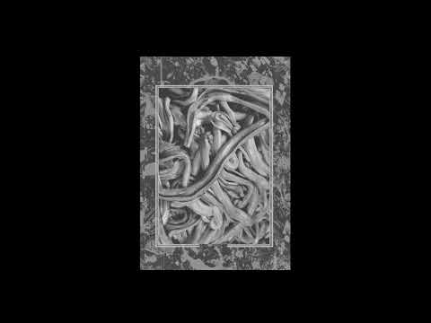 Noform — Nigh/T\mare | What I Know Is What I Feel [Several Minor Promises 2020]