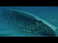 SS Andrea Doria & SS America 