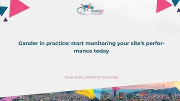 Gander in practice: start monitoring your site’s performance today