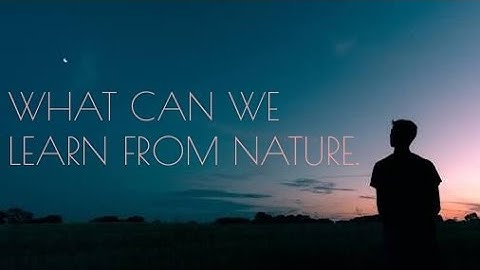 What Can We Learn From Nature.Most Beautiful Observation About Nature.