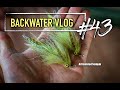 Backwaters articulated sculpin fly backwater vlog 43