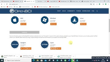 Brain Computer Interface w/ Python and OpenBCI for EEG data2021 04 15 at 10 44 02