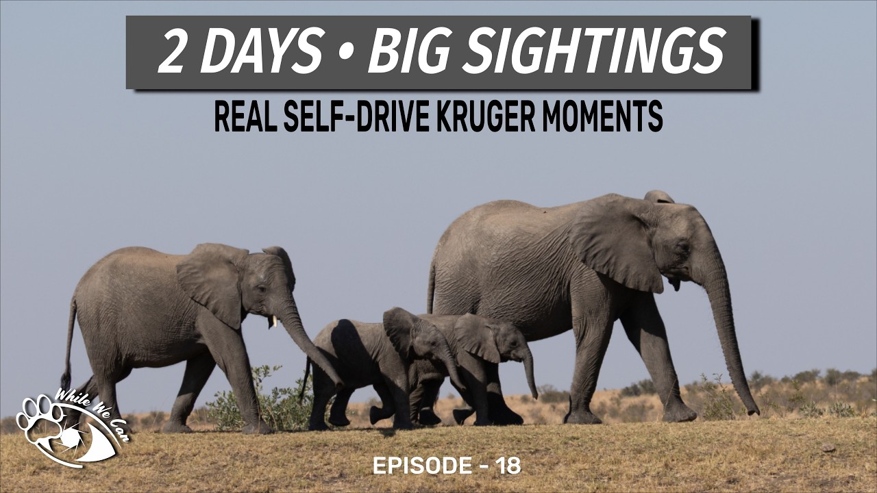 2 дня настоящего экшена в стиле Крюгера — лучшие моменты для автопутешествий (июнь 2025 г.)