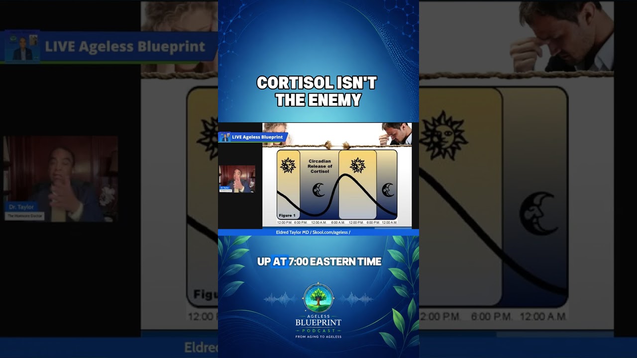 The Truth About Cortisol Nobody Tells You
