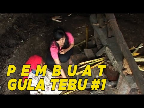 Beginilah kehidupan seorang pembuat gula tebu.. | JIKA AKU MENJADI