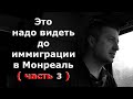 Это надо видеть до иммиграции в Монреаль ( часть 3 ) / Блогер и Хаски / Блогер БН