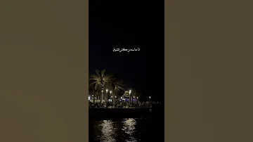 مين زينا يا حبيبي الليلة اليسا حالات واتس 