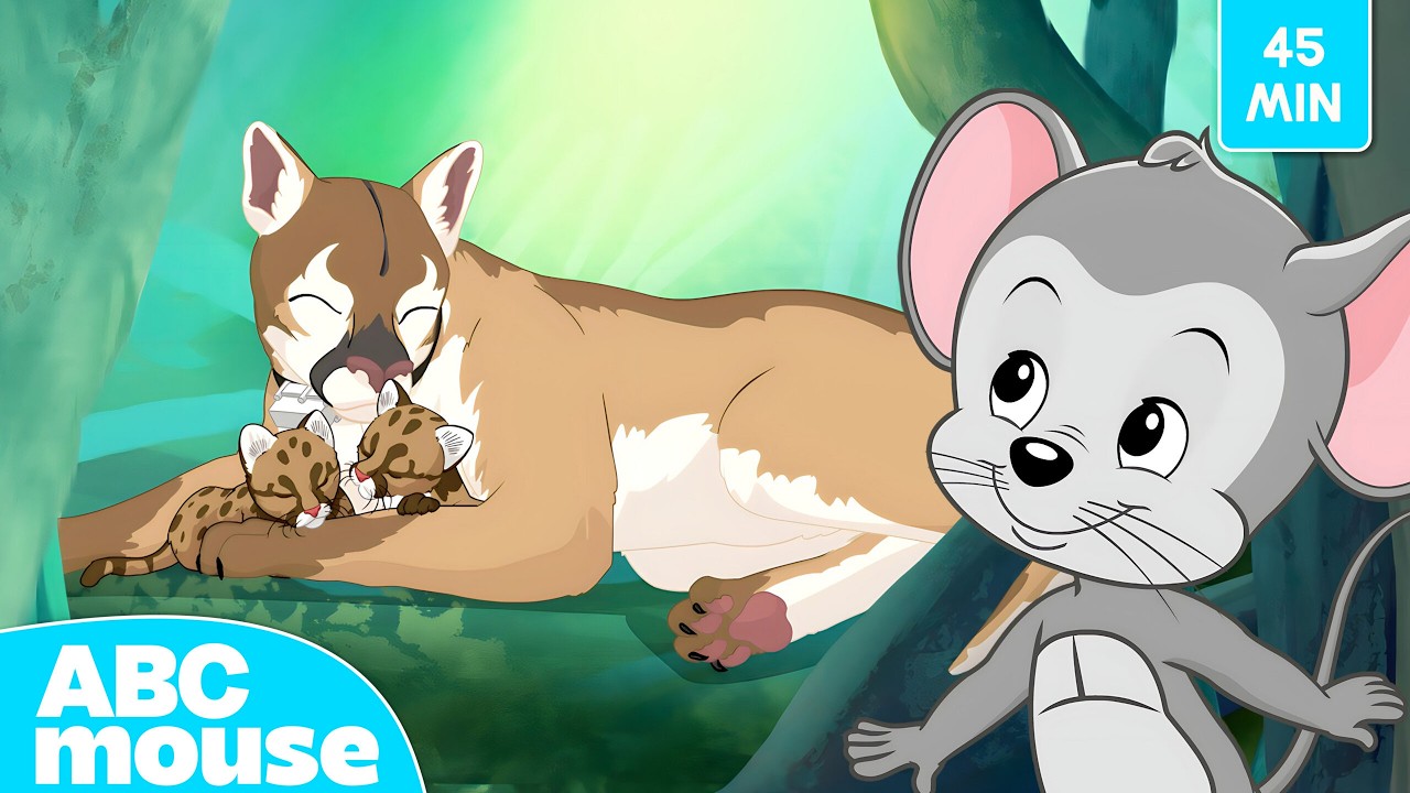 Everglades Adventure 🐢🌞 | ABCmouse Search and Explore for Kids | 45 ...