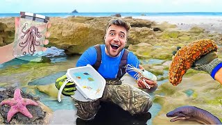 Hunting For Exotic Creatures Among The Beach Rocks