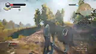 The Witcher 3 Wild Hunt Roach appears out of thin air (streamtest)