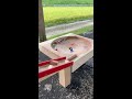 Marble Run Live⭐︎Wooden wave slope & Mysterious charm & interesting ASMR