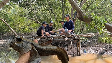 Bắt Ốc Len Bẩy Cá Thòi Lòi Nấu Ăn Giữa  Rừng Ngập Mặn