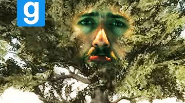 Stuck in a Tree! (Garry