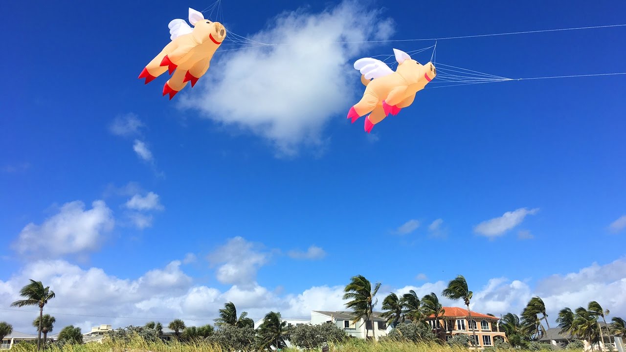 When Pigs Fly Giant Kites Delray Beach Florida YouTube