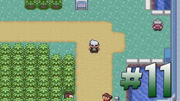 Pokemon Emerald - Nuzlocke Randomizer Challenge - Part 11