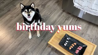 Shiba Inu Gets Sashimi Platter For His Birthday | Schmackos | Tiny Rick The Shibe by Tiny Rick The Shibe 1,199 views 2 years ago 4 minutes