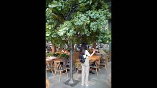 AZ MARTINEZ LANDERS PASIG.SUBSCRIBE