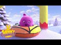 SUNNY BUNNIES - The Freezing Cold | Season 5 | Cartoons for Children