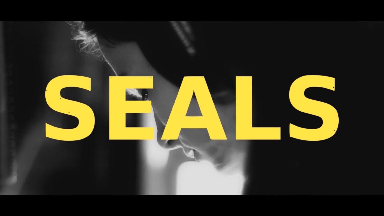 SEALS w dmb studio - Antymegalomania