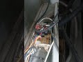 Commercial Freezer Check Unit at Bajada Davao City #technician #refrigeration #davaocity