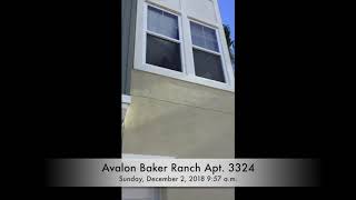 Avalon Baker Ranch Barking Dogs 12/2/2018