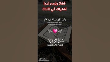 القرآن الكريم #اكسبلور #رمضانمبارك #تيك_توك #duet #راحة_نفسية #صباح_الخير #حالات_واتس #لايك #دويتو