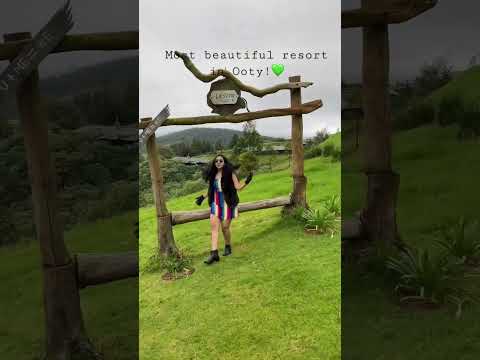 Destiny the farm