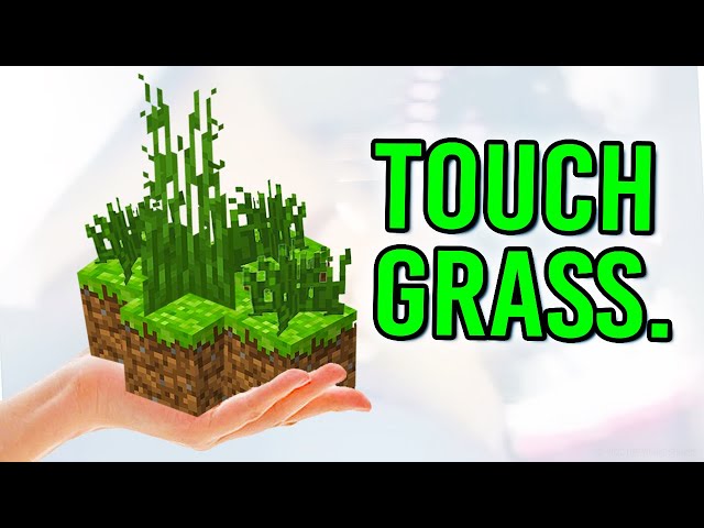 How to touch grass, for those downloading grass touching simulator 