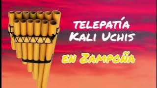 Telepatía - Kalis uchis en zampoña
